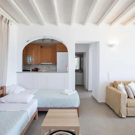 公寓 Elma's Summerhouses Mykonos Town