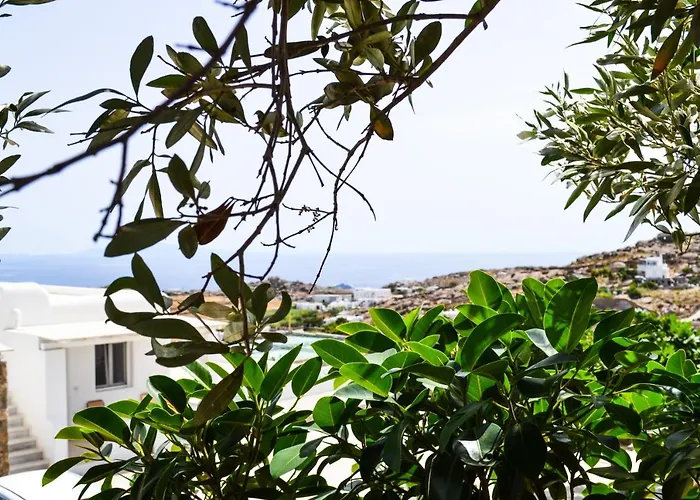 Apartment Elma's Summerhouses Mykonos Town