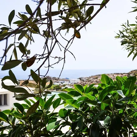 Апартаменты Elma's Summerhouses Mykonos Town